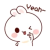 ️ Bunny Sunny.MOV 6