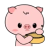 Porquinho 12