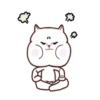 Interesante vida de gato 13
