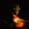 WITCHES&DRAGON'S 14