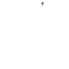 Фрукты 15