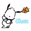 Pochacco_Mov 14