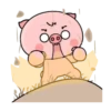 Porquinho 13
