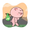 Porquinho 14