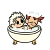 Magic couple 10