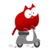 Red Cat 17