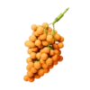Фрукты 20