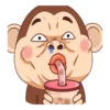 Mr.Morty MonkeyMovi 16