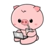 Porquinho 16