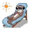 Otter pixel 16