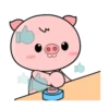 Porquinho 18