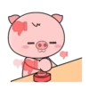 Porquinho 21