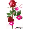 Besos 28