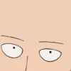 One Punch Man 27