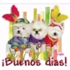 Buenos Días  1 Movi 26