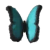 Borboletas 29