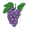 Фрукты 27