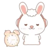 Rabbit mov 5