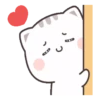 Gatito tierno 6