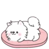 white dog popup stickers 5