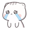 Gatito tierno 8