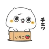 Japanese cat 8
