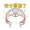 Funny Bunny 7
