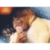 Perros Animados 2 9