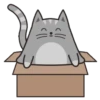 ● Cat Milton Mov. ● 7