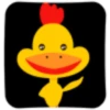 Crazy rooster 5