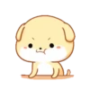 PUPPY 2  mov. 5