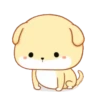 PUPPY.  mov. 8