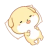 PUPPY.  mov. 9