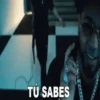 [Anuel AA] Mov 12