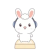 Rabbit mov 9