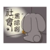 Funny Bunny 11