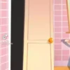 Carnitas tik tok 11