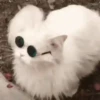 Cats   Mov DZ 13