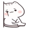 Gatito tierno 11