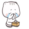 Gatito tierno 12