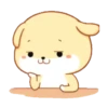 PUPPY.  mov. 12