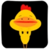 Crazy rooster 11
