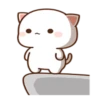 Peach Cat13 8