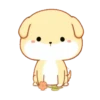 PUPPY.  mov. 16