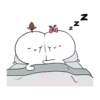 ️cotton couple 10