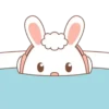Rabbit mov 13