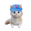 ️ perros y gatos   mov 17