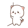 Peach Cat13 9