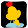 Crazy rooster 12