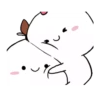 ️cotton couple 12